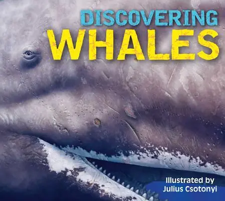 Descoperirea balenelor, delfinilor și marsuinilor - Discovering Whales, Dolphins & Porpoises