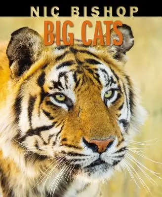 Pisicile mari Nic Bishop - Nic Bishop Big Cats