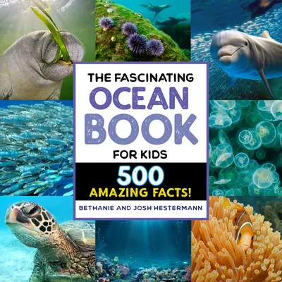 Fascinanta carte despre ocean pentru copii: 500 de fapte incredibile! - The Fascinating Ocean Book for Kids: 500 Incredible Facts!