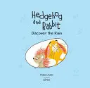 O zi ploioasă cu ariciul și iepurele - A Rainy Day with Hedgehog and Rabbit
