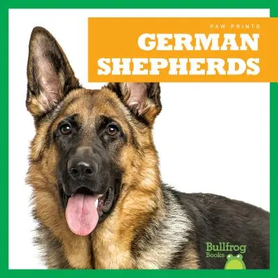 Ciobănești germani - German Shepherds
