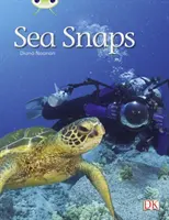 Bug Club Independent Non Fiction Anul 1 Verde A Sea Snaps - Bug Club Independent Non Fiction Year 1 Green A Sea Snaps