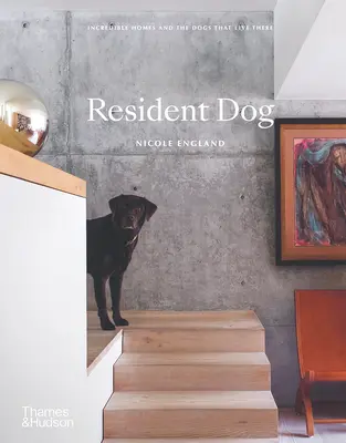 Resident Dog: Case incredibile și câinii care locuiesc acolo - Resident Dog: Incredible Homes and the Dogs That Live There