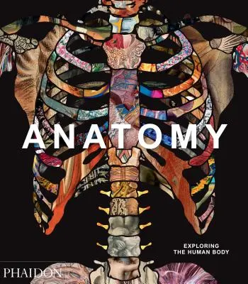Anatomie: Explorarea corpului uman - Anatomy: Exploring the Human Body