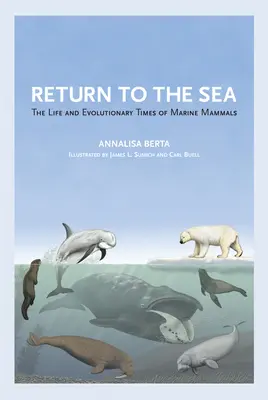 Întoarcerea la mare: Viața și evoluția mamiferelor marine - Return to the Sea: The Life and Evolutionary Times of Marine Mammals