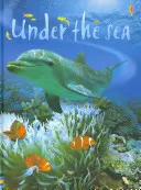 Sub mare - Under the Sea