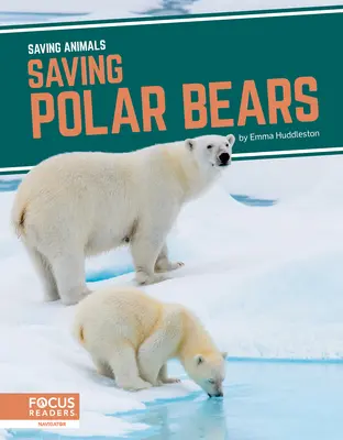Salvarea urșilor polari - Saving Polar Bears