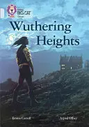 Wuthering Heights - Trupa 17/Diamond - Wuthering Heights - Band 17/Diamond