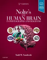 Nolte's Human Brain in Photographs and Diagrams - Nolte's the Human Brain in Photographs and Diagrams