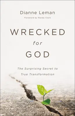 Naufragiați pentru Dumnezeu: Secretul surprinzător pentru adevărata transformare (The Surprising Secret to True Transformation) - Wrecked for God: The Surprising Secret to True Transformation