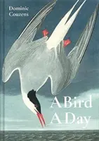 O pasăre pe zi - A Bird a Day