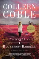 Amurg la Blueberry Barrens - Twilight at Blueberry Barrens