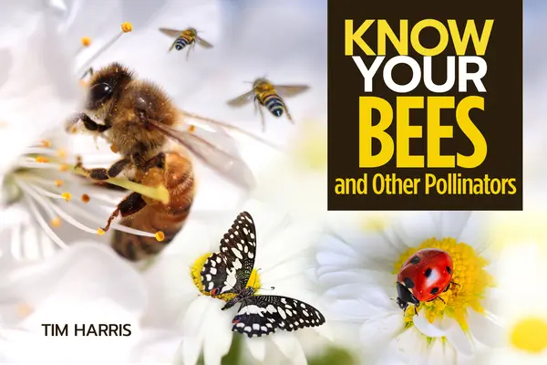 Cunoaște-ți polenizatorii - Know Your Pollinators