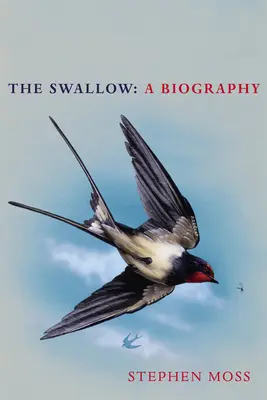 The Swallow: O biografie - The Swallow: A Biography