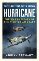 Hurricane - Avionul care a salvat Marea Britanie - Hurricane - The Plane That Saved Britain