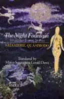 The Night Fountain