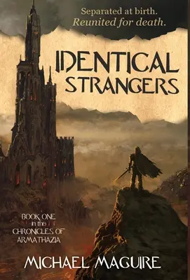 Străini identici - Identical Strangers