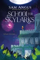 Școala pentru ciocârlii - School for Skylarks