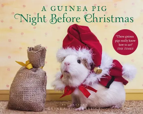 O noapte înainte de Crăciun pentru porcușorul de Guineea - A Guinea Pig Night Before Christmas