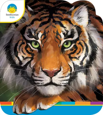 Tigrii - Tigers