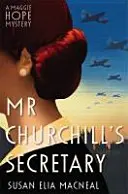 Secretarul domnului Churchill - Mr Churchill's Secretary