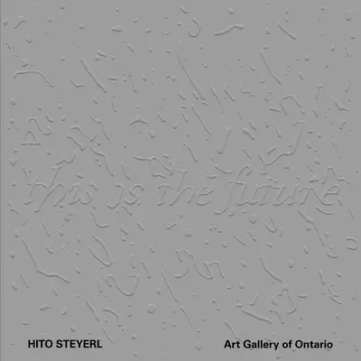 Hito Steyerl: Acesta este viitorul - Hito Steyerl: This Is the Future