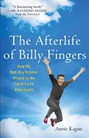 Viața de apoi a lui Billy Fingers: Cum mi-a dovedit fratele meu băiat rău că există viață după moarte - Afterlife of Billy Fingers: How My Bad-Boy Brother Proved to Me There's Life After Death