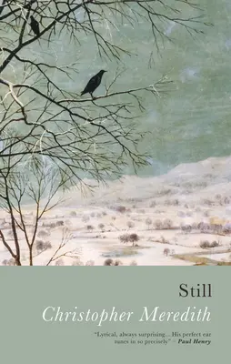 Încă - Still