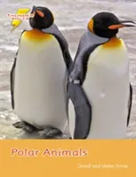 Animale polare - Set 4 - Polar Animals - Set 4