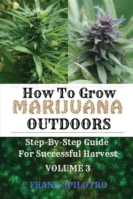 Cum să cultivi marijuana în aer liber: Ghid pas cu pas pentru o recoltă reușită - How to Grow Marijuana Outdoors: Step-By-Step Guide for Successful Harvest
