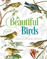 Carte de colorat cu păsări frumoase - Beautiful Birds Colouring Book