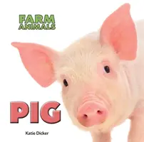 Porc - Pig
