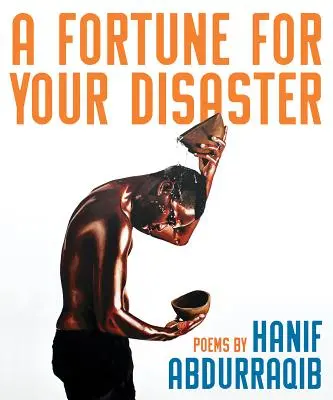 O avere pentru dezastrul tău - A Fortune for Your Disaster
