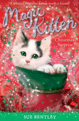 O surpriză de Crăciun - A Christmas Surprise