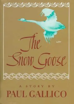 Gâsca de zăpadă - Snow Goose
