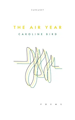 Anul aerian - The Air Year