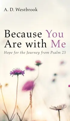 Pentru că ești cu mine - Because You Are with Me