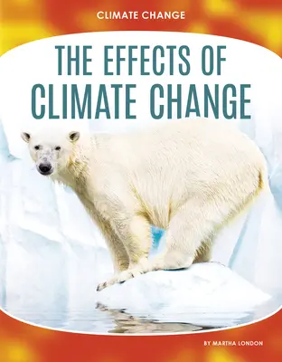 Efectele schimbărilor climatice - The Effects of Climate Change