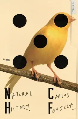 Istorie naturală - Natural History
