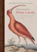 Curiosul domn Catesby: Un naturalist „cu adevărat ingenios” explorează lumi noi” - The Curious Mister Catesby: A Truly Ingenious