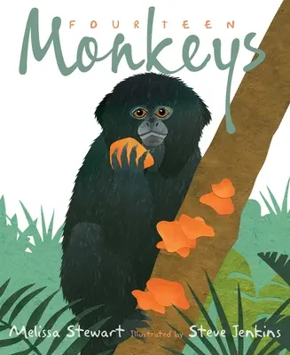 Paisprezece maimuțe: O rimă din pădurea tropicală - Fourteen Monkeys: A Rain Forest Rhyme