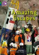 Escapade uimitoare - Banda 05 verde/Banda 16 safir - Amazing Escapes - Band 05 Green/Band 16 Sapphire