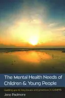 Nevoile de sănătate mintală ale copiilor și tinerilor: Ghid pentru probleme și practici cheie în Camhs - The Mental Health Needs of Children & Young People: Guiding You to Key Issues and Practices in Camhs