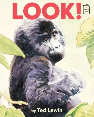 Privește! - Look!