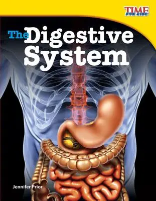 Sistemul digestiv - The Digestive System