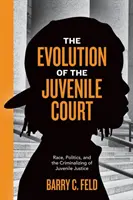 Evoluția tribunalului pentru minori: Rasă, politică și criminalizarea justiției juvenile - The Evolution of the Juvenile Court: Race, Politics, and the Criminalizing of Juvenile Justice