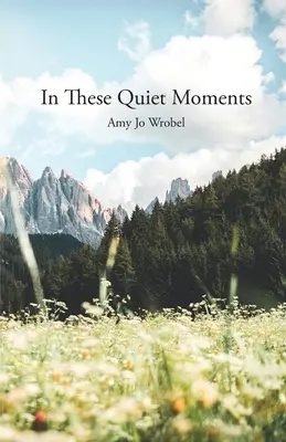 În aceste momente de liniște - In These Quiet Moments