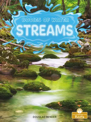 Râuri - Streams
