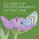 Fotografia de aproape în natură - Close Up Photography in Nature