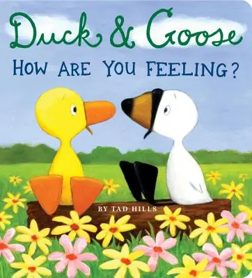 Duck & Goose, Cum te simți? - Duck & Goose, How Are You Feeling?